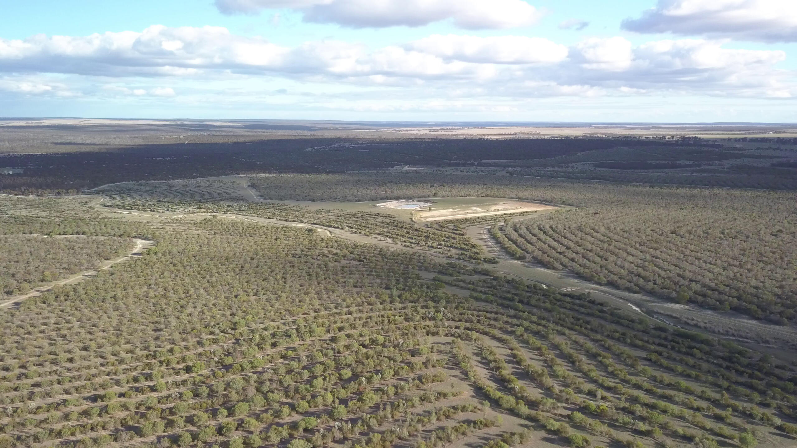 Peniup restoration site, Great Southern Region WA — 2019